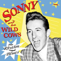 Sonny and his Wild Cows - Mr. Rhythm-and-Blues